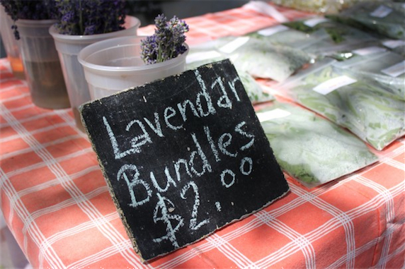 Picton market lavender